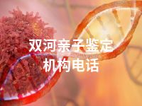 双河亲子鉴定机构电话