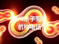 扬州亲子鉴定机构电话