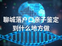 聊城落户口亲子鉴定到什么地方做