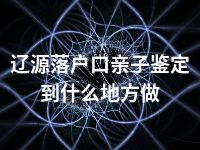 辽源落户口亲子鉴定到什么地方做