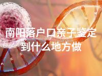 南阳落户口亲子鉴定到什么地方做