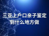 三亚上户口亲子鉴定到什么地方做