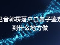 巴音郭楞落户口亲子鉴定到什么地方做