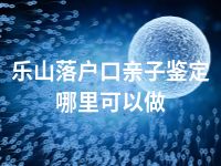 乐山落户口亲子鉴定哪里可以做