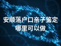 安顺落户口亲子鉴定哪里可以做