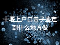 十堰上户口亲子鉴定到什么地方做
