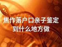 焦作落户口亲子鉴定到什么地方做