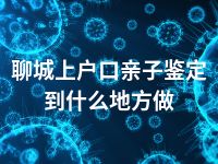 聊城上户口亲子鉴定到什么地方做