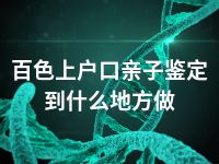 百色上户口亲子鉴定到什么地方做