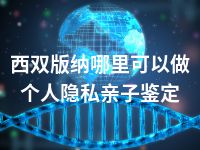 西双版纳哪里可以做个人隐私亲子鉴定