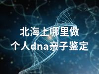 北海上哪里做个人dna亲子鉴定