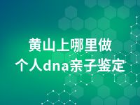 黄山上哪里做个人dna亲子鉴定