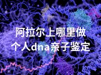 阿拉尔上哪里做个人dna亲子鉴定