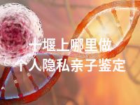 十堰上哪里做个人隐私亲子鉴定
