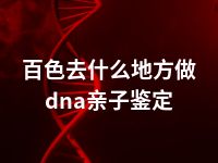 百色去什么地方做dna亲子鉴定
