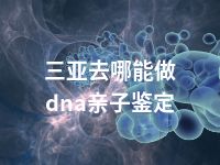 三亚去哪能做dna亲子鉴定