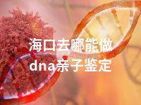 海口去哪能做dna亲子鉴定