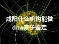 咸阳什么机构能做dna亲子鉴定