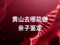 黄山去哪能做亲子鉴定