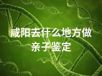 咸阳去什么地方做亲子鉴定