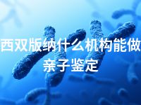 西双版纳什么机构能做亲子鉴定