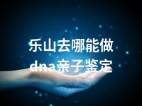 乐山去哪能做dna亲子鉴定