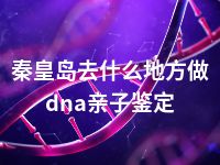 秦皇岛去什么地方做dna亲子鉴定