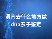渭南去什么地方做dna亲子鉴定