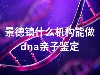 景德镇什么机构能做dna亲子鉴定
