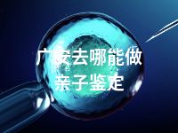 广安去哪能做亲子鉴定