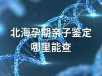 北海孕期亲子鉴定哪里能查
