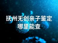 抚州无创亲子鉴定哪里能查