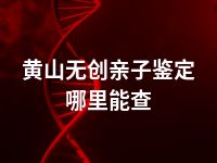 黄山无创亲子鉴定哪里能查
