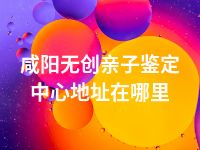 咸阳无创亲子鉴定中心地址在哪里