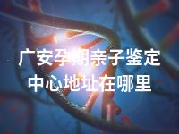 广安孕期亲子鉴定中心地址在哪里