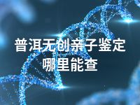 普洱无创亲子鉴定哪里能查