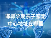 邯郸孕期亲子鉴定中心地址在哪里
