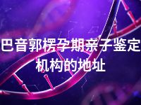 巴音郭楞孕期亲子鉴定机构的地址