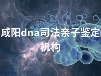 咸阳dna司法亲子鉴定机构