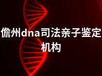 儋州dna司法亲子鉴定机构