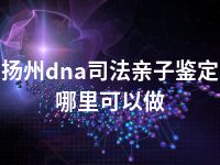 扬州dna司法亲子鉴定哪里可以做