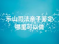 乐山司法亲子鉴定哪里可以做