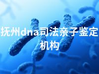 抚州dna司法亲子鉴定机构
