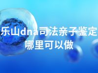 乐山dna司法亲子鉴定哪里可以做