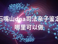 石嘴山dna司法亲子鉴定哪里可以做