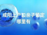 咸阳上户口亲子鉴定哪里有