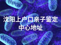 沈阳上户口亲子鉴定中心地址