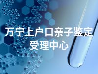 万宁上户口亲子鉴定受理中心