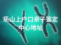 乐山上户口亲子鉴定中心地址