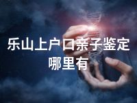 乐山上户口亲子鉴定哪里有